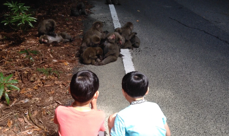 %EC%8A%A4%ED%81%AC%EB%A6%B0%EC%83%B7_2017-02-09_13.20.02.png?type=w773