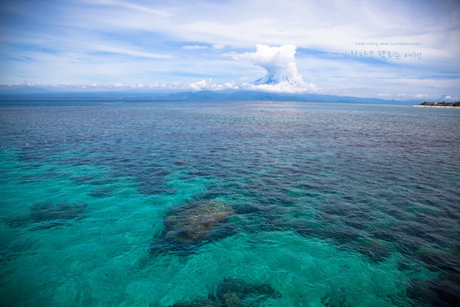 5D_IMG_1995_Short1200mark%EB%B0%94%EB%9E%8C.jpg?type=w1