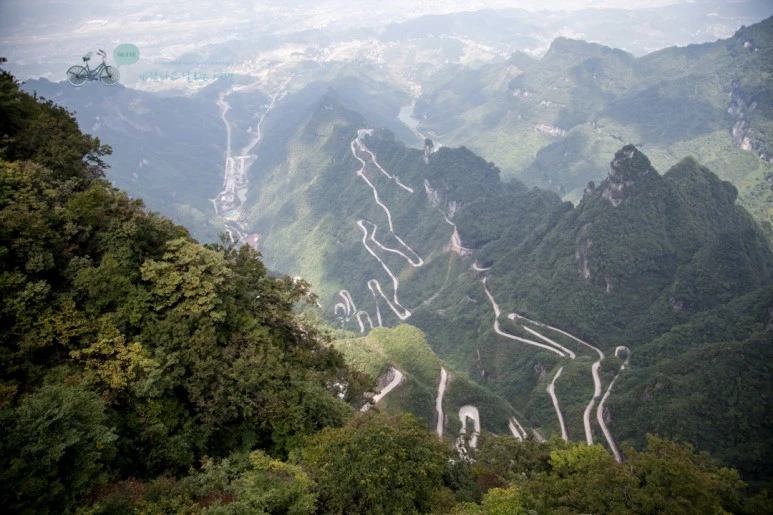 IMG_0414_Wide1080mark%EB%B0%94%EB%9E%8C.jpg?type=w773