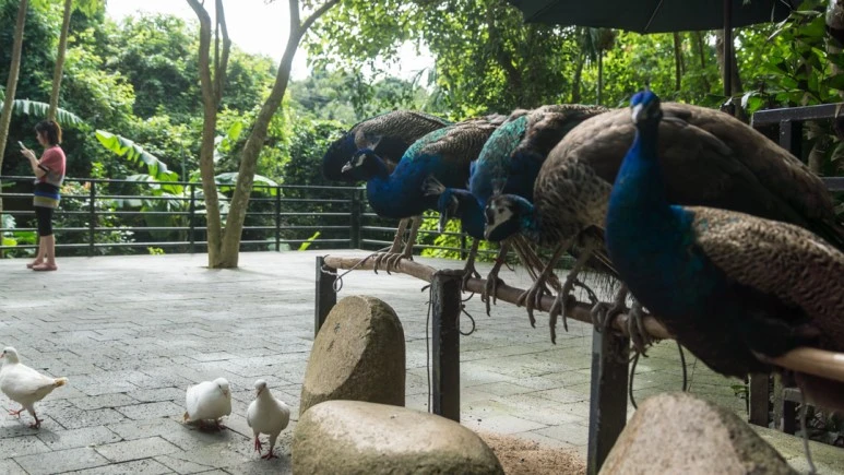 DSC05769_wide1080mark%EB%B0%94%EB%9E%8C.jpg?type=w773