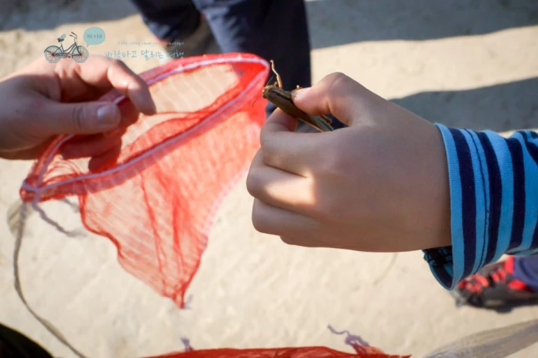 DSC05737_wide1080mark.jpg?type=w773