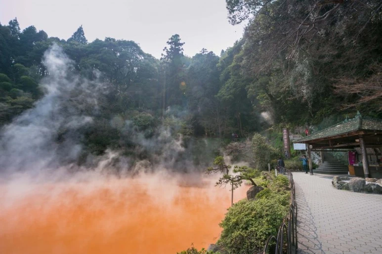 %EC%B9%98%EB%85%B8%EC%9D%B4%EC%BC%80%EC%A7%80%EC%BD%94%EC%BF%A0.jpg?type=w773