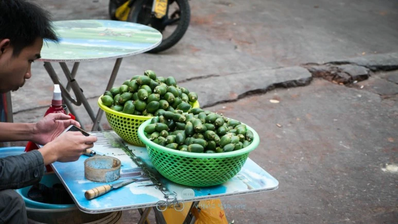 _1040388_Edit-_Wide1080mark%EB%B0%94%EB%9E%8C.jpg?type=w773