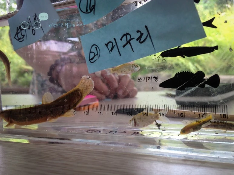 IMG_1030_wide1080mark.jpg?type=w773