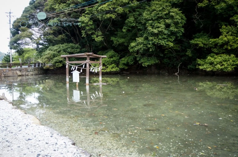 DSC07995_wide1080mark.jpg?type=w773