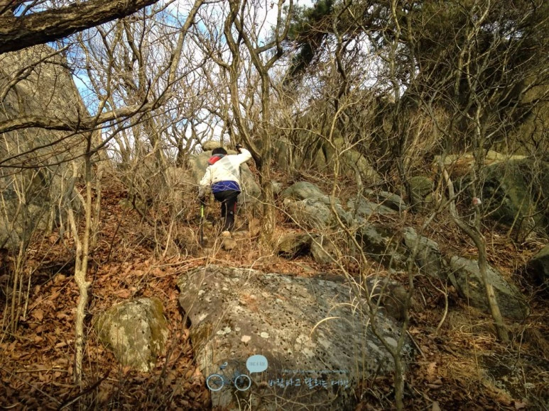 IMG_1589-_Wide1080mark.jpg?type=w773