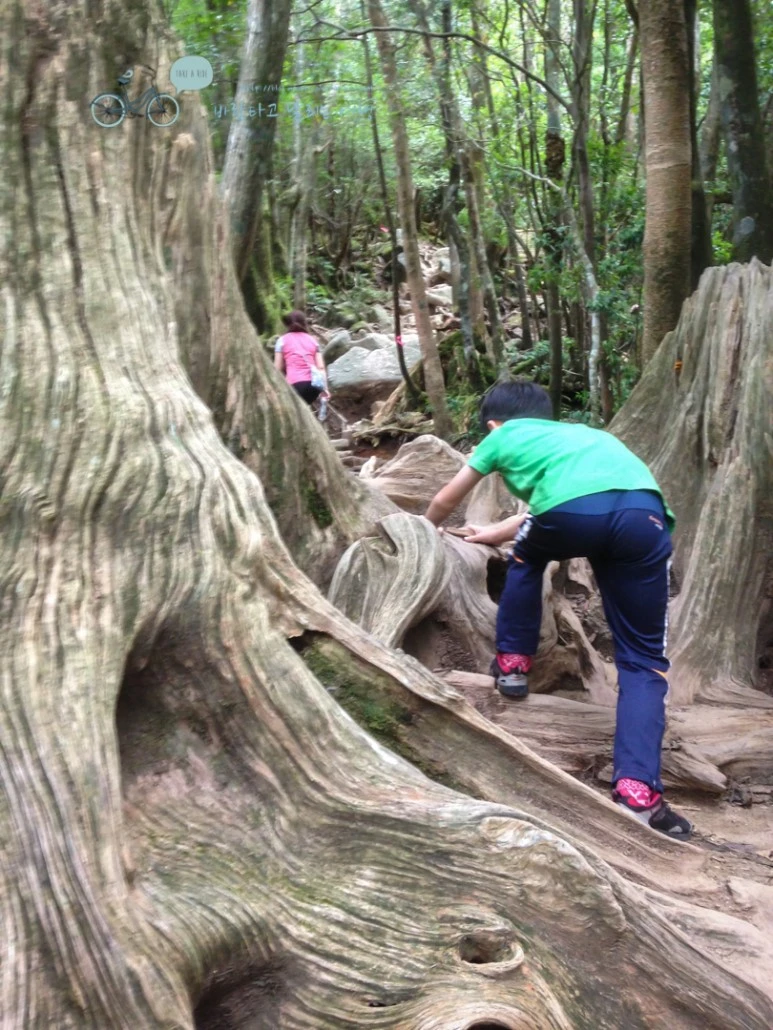 IMG_1362_wide1080.jpg?type=w773