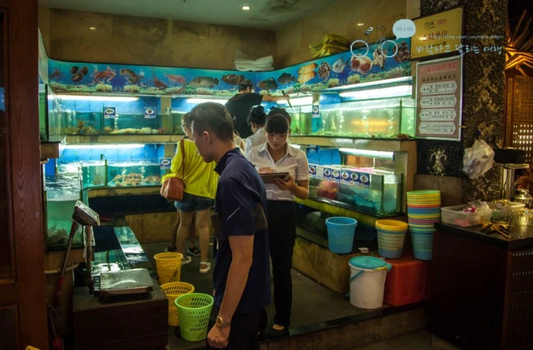 IMG_0922_wide1080%EB%B0%94%EB%9E%8Cmark.jpg?type=w773