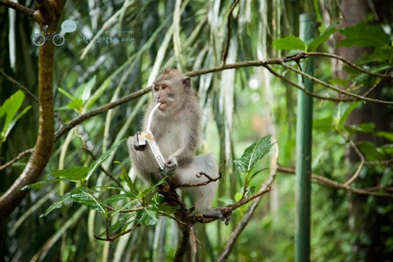 IMG_0164_Wide1080mark%EB%B0%94%EB%9E%8C%ED%83%80%EA%B3%A0-2.jpg?type=w773