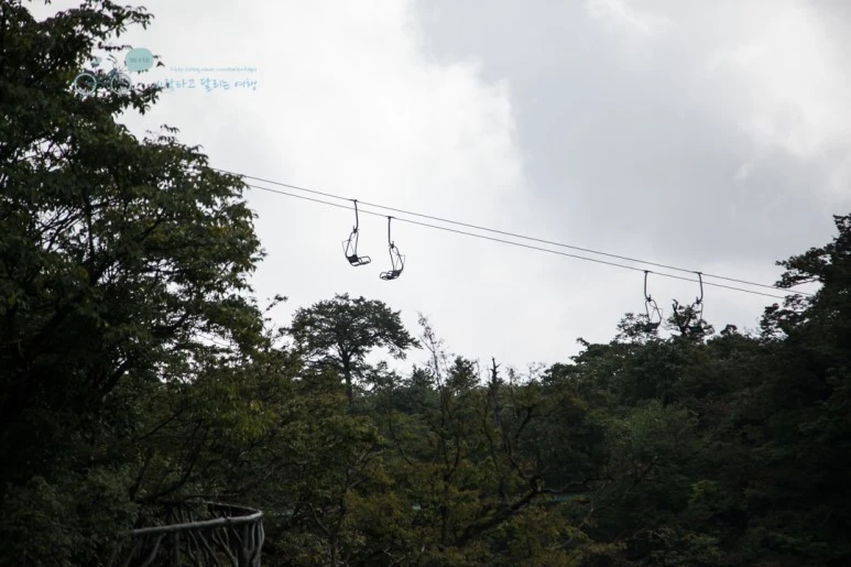 IMG_0193_Wide1080mark%EB%B0%94%EB%9E%8C.jpg?type=w773