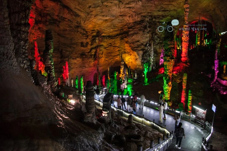 IMG_1224_Wide1080mark%EB%B0%94%EB%9E%8C.jpg?type=w773