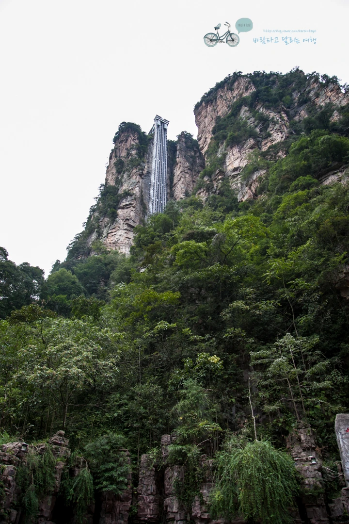 IMG_1358_Wide1080mark%EB%B0%94%EB%9E%8C.jpg?type=w773