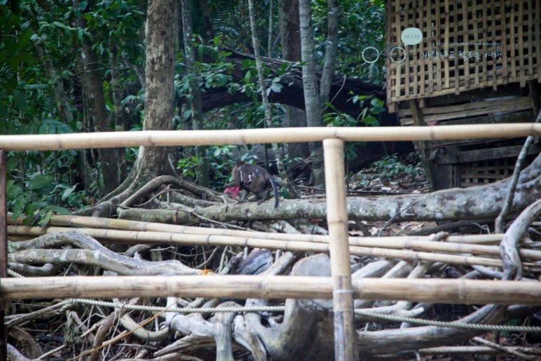 IMG_2166_Wide1080mark%EB%B0%94%EB%9E%8C%ED%83%80%EA%B3%A0.jpg?type=w773