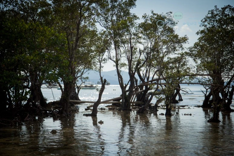 IMG_0735_Wide1080mark%EB%B0%94%EB%9E%8C%ED%83%80%EA%B3%A0.jpg?type=w773