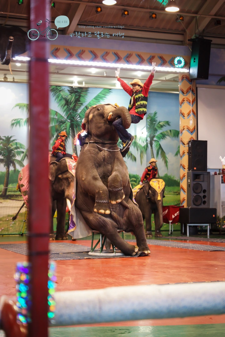 DSC00166_5.jpg?type=w773