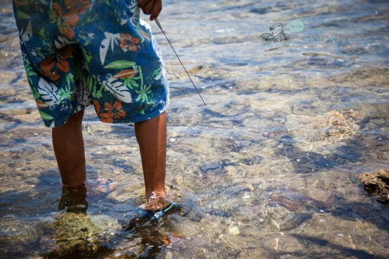 IMG_1972_Wide1080mark%EB%B0%94%EB%9E%8C%ED%83%80%EA%B3%A0.jpg?type=w773