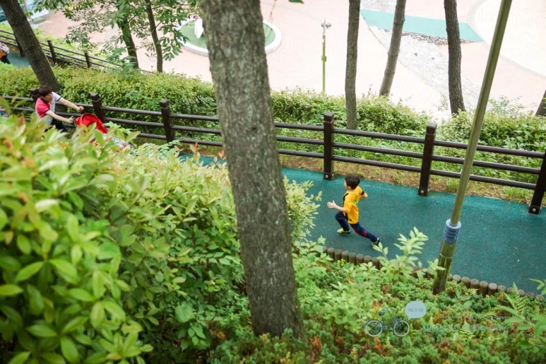 DSC00936_wide1080mark.jpg?type=w773