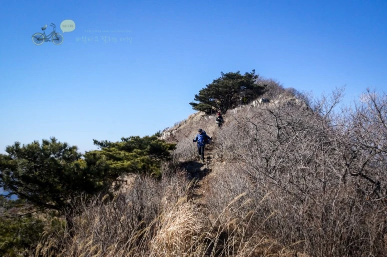 DSC04469_wide1080mark.jpg?type=w773