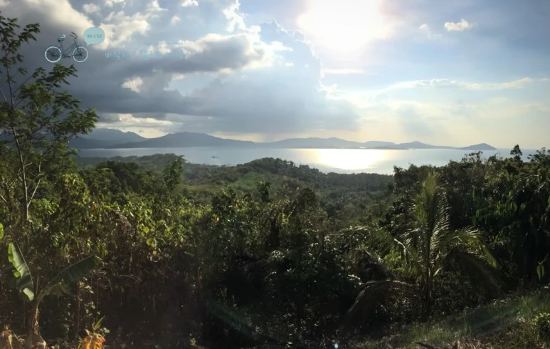 IMG_9889_Wide1080mark%EB%B0%94%EB%9E%8C%ED%83%80%EA%B3%A0.jpg?type=w773