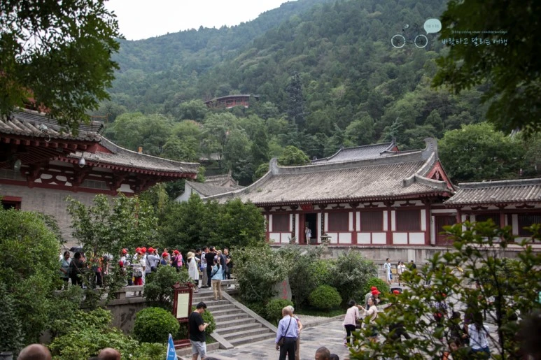 IMG_0249_Wide1080mark%EB%B0%94%EB%9E%8C.jpg?type=w773