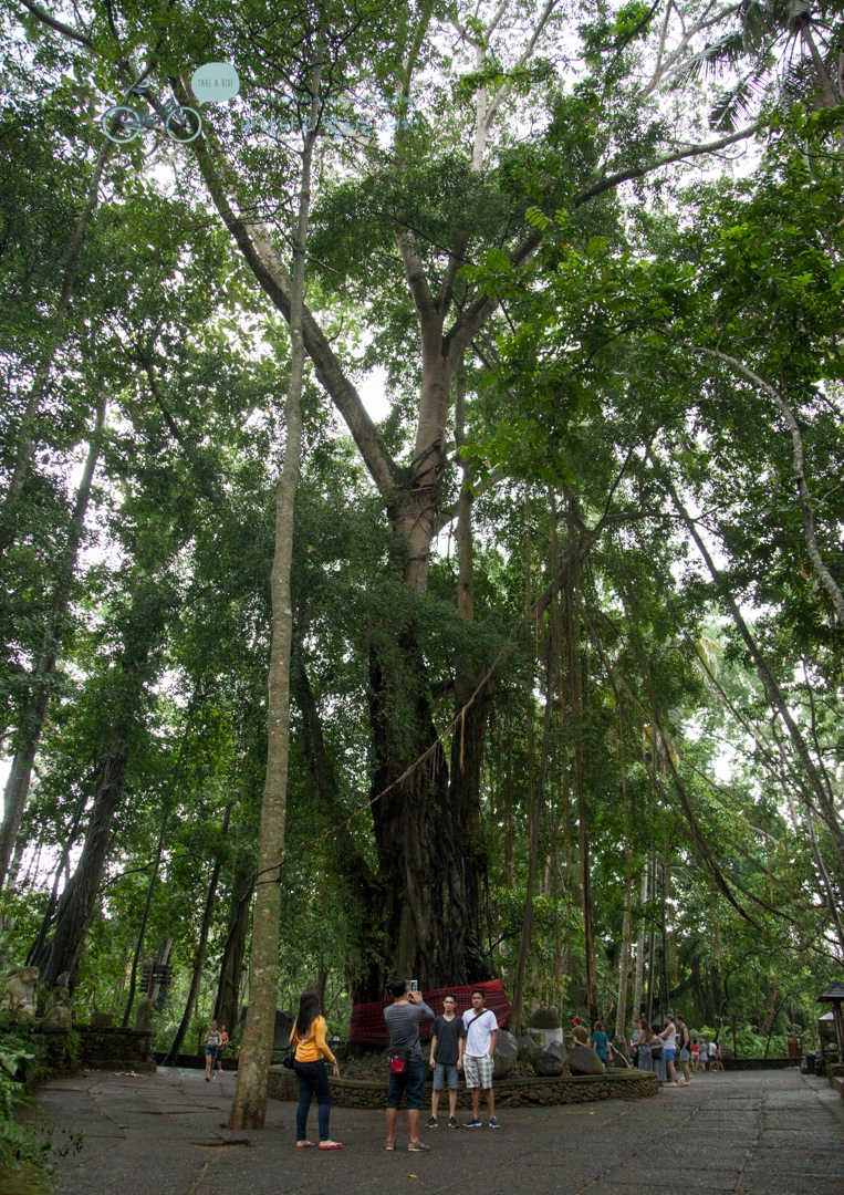 IMG_0114_Wide1080mark%EB%B0%94%EB%9E%8C%ED%83%80%EA%B3%A0-2.jpg?type=w773