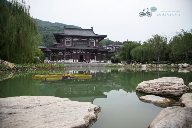 IMG_0262_Wide1080mark%EB%B0%94%EB%9E%8C.jpg?type=w773