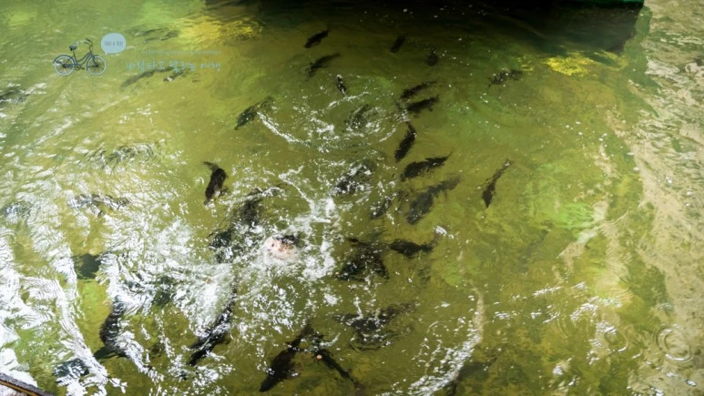 _1000903_wide1080_Wide1080mark_%EB%B0%94%EB%9E%8C.jpg?type=w773