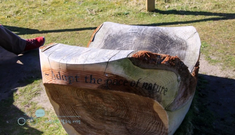 IMG_3628.jpg?type=w773