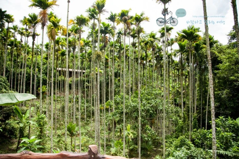 IMG_0428_wide1080%EB%B0%94%EB%9E%8Cmark.jpg?type=w773