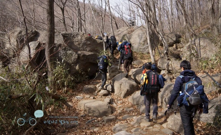 DSC00049.jpg?type=w773