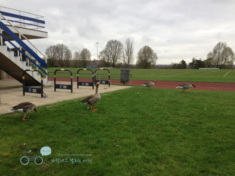 IMG_1538.jpg?type=w773