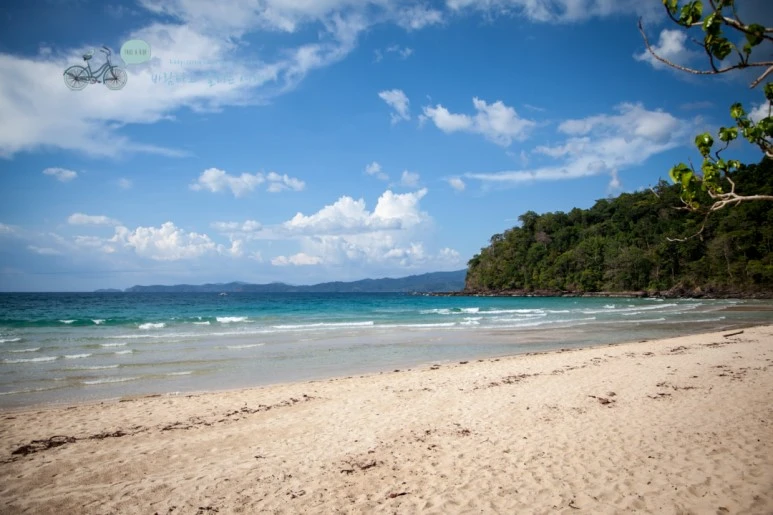 IMG_2252_Wide1080mark%EB%B0%94%EB%9E%8C%ED%83%80%EA%B3%A0.jpg?type=w773