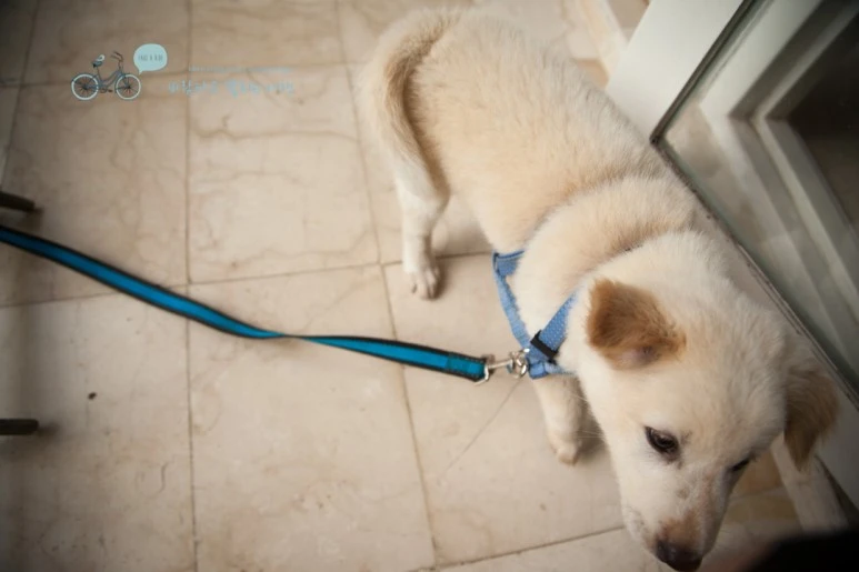 IMG_0055_Wide1080mark%EB%B0%94%EB%9E%8C%ED%83%80%EA%B3%A0-3.jpg?type=w773