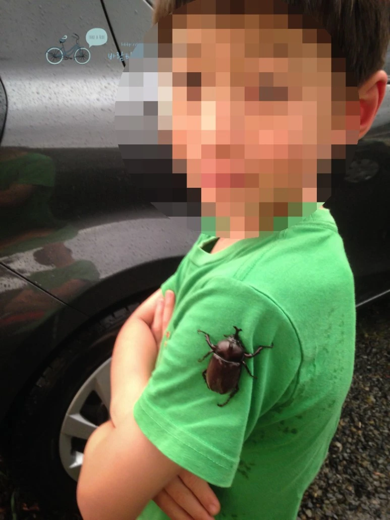 image_4095625831486454628625.jpg?type=w773