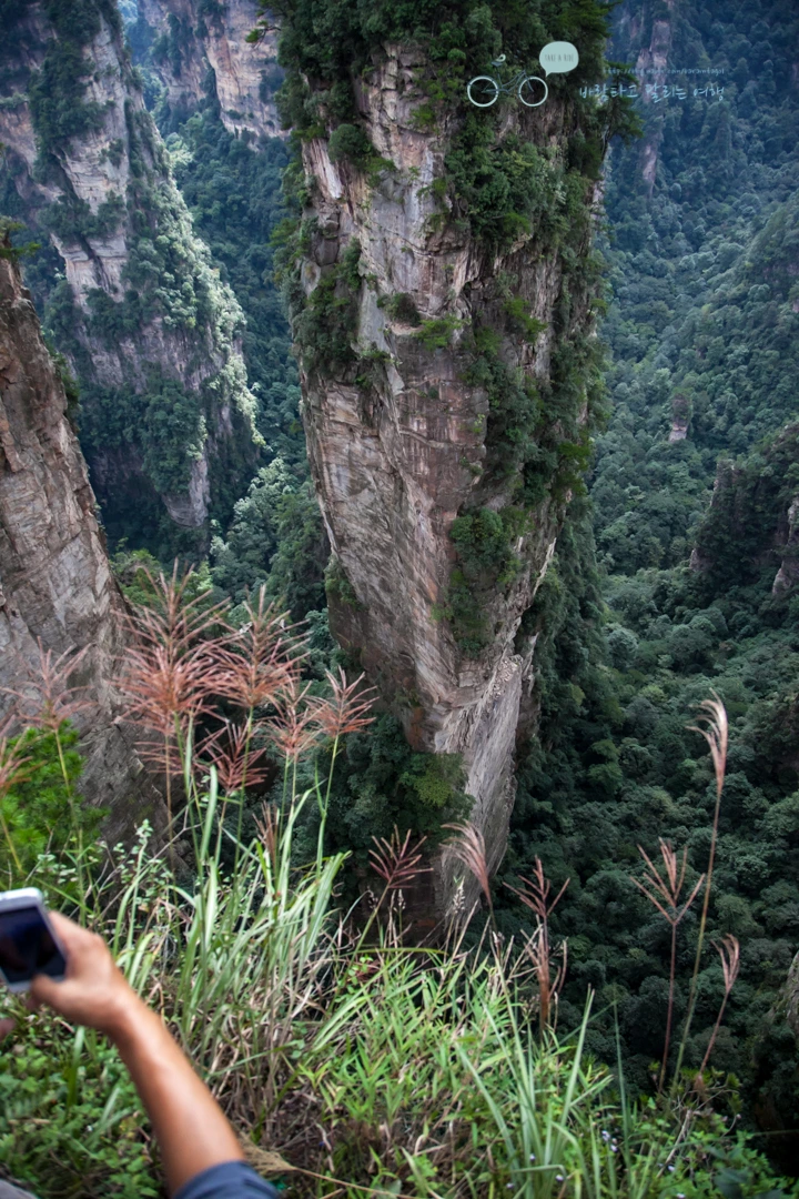 IMG_1285_Wide1080mark%EB%B0%94%EB%9E%8C.jpg?type=w773