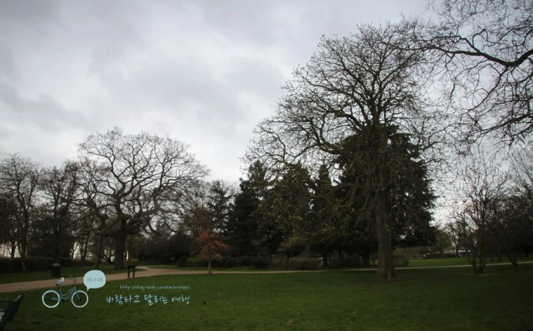 IMG_3013.jpg?type=w773