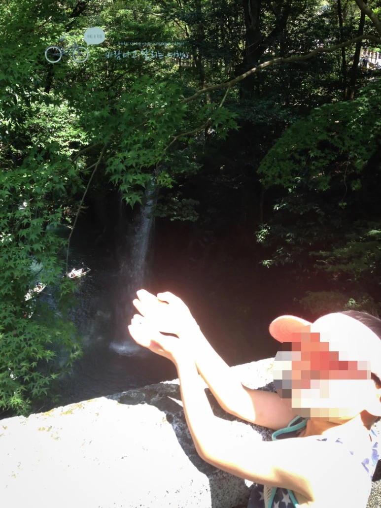 image_5359748771487039071522.jpg?type=w773