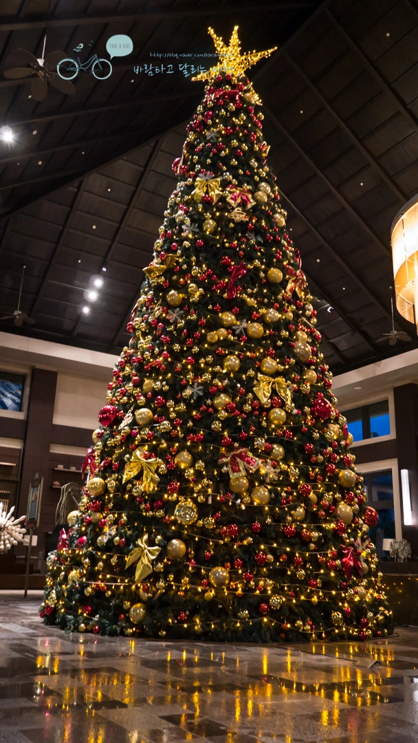 _1050138_wide1080mark.jpg?type=w773