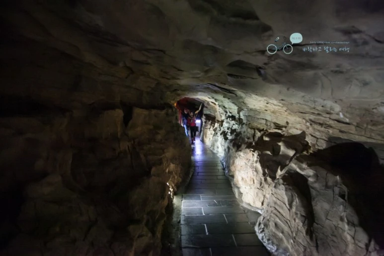 IMG_1115_Wide1080mark%EB%B0%94%EB%9E%8C.jpg?type=w773