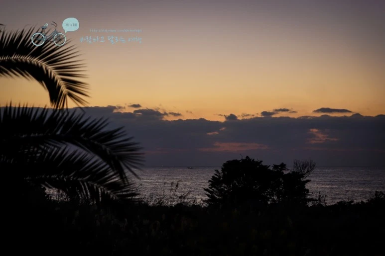 DSC00003_2.jpg?type=w773