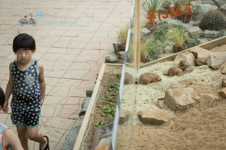 image_6654426811479177370065.jpg?type=w773