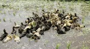 %EB%8B%A4%EC%9A%B4%EB%A1%9C%EB%93%9C.jpeg?type=w773