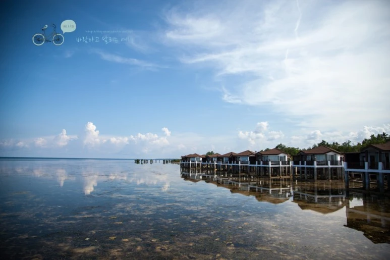 IMG_1099_Wide1080mark%EB%B0%94%EB%9E%8C%ED%83%80%EA%B3%A0.jpg?type=w773