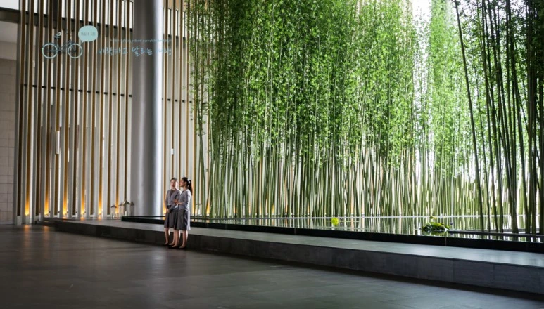 _1040801_wide1080mark.jpg?type=w773