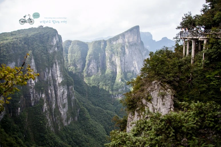 IMG_0208_Wide1080mark%EB%B0%94%EB%9E%8C.jpg?type=w773