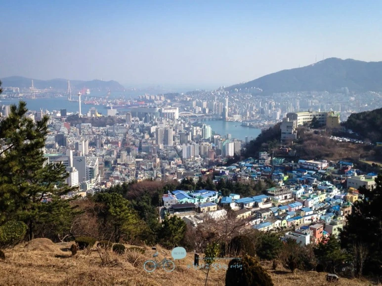 IMG_1188-_Wide1080mark%EB%B0%94%EB%9E%8C.jpg?type=w773