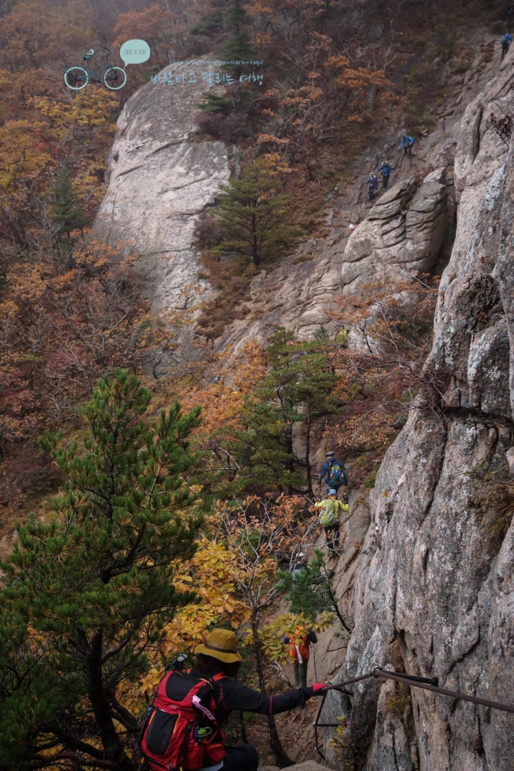 DSC05416_wide1080mark.jpg?type=w773