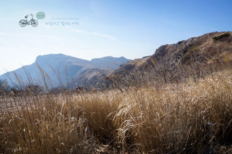 DSC04571_wide1080mark.jpg?type=w773