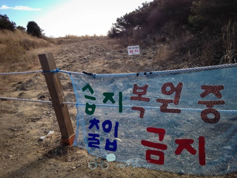 IMG_1537-_Wide1080mark.jpg?type=w773