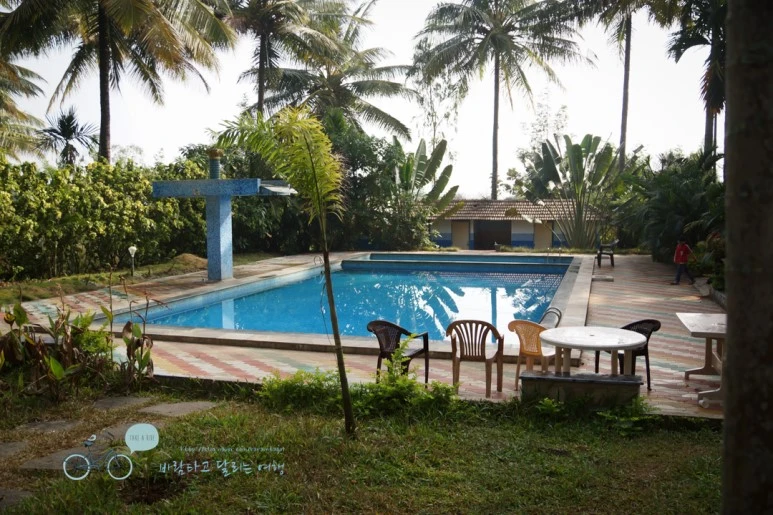 DSC00010.jpg?type=w773